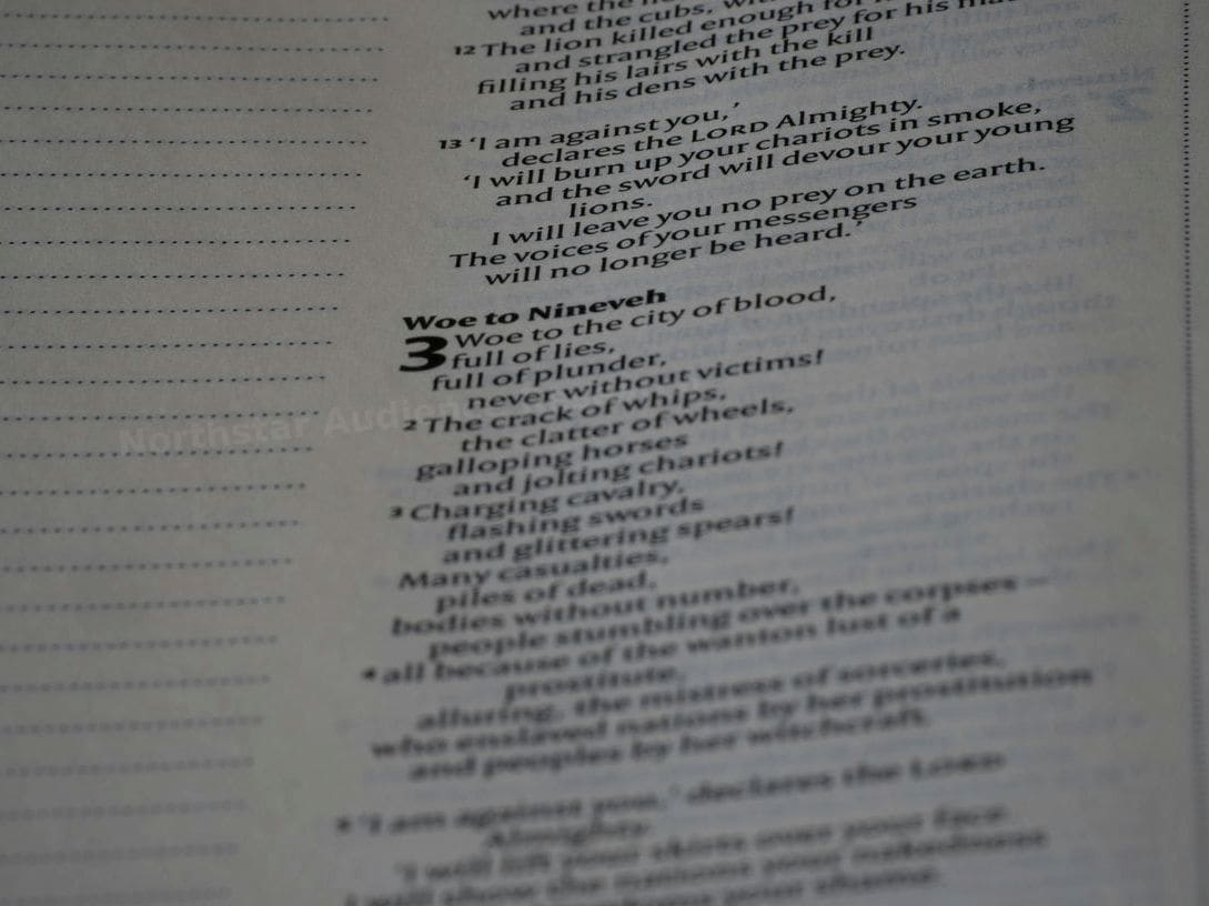 Northstar Audience Research 10